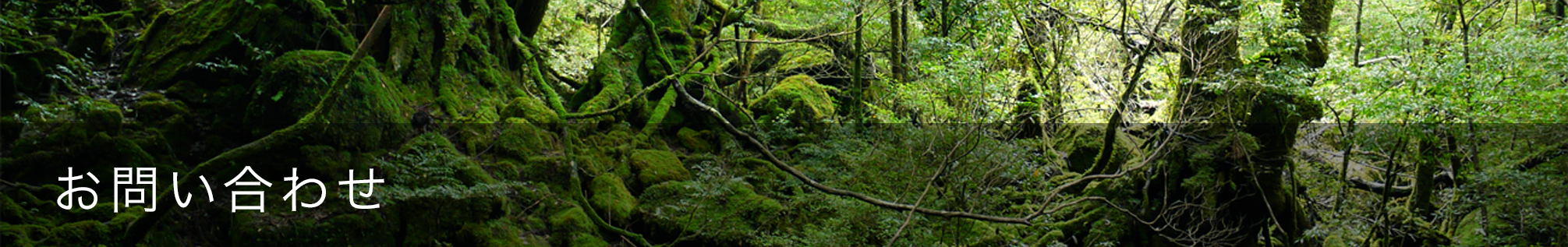 お問い合わせ
